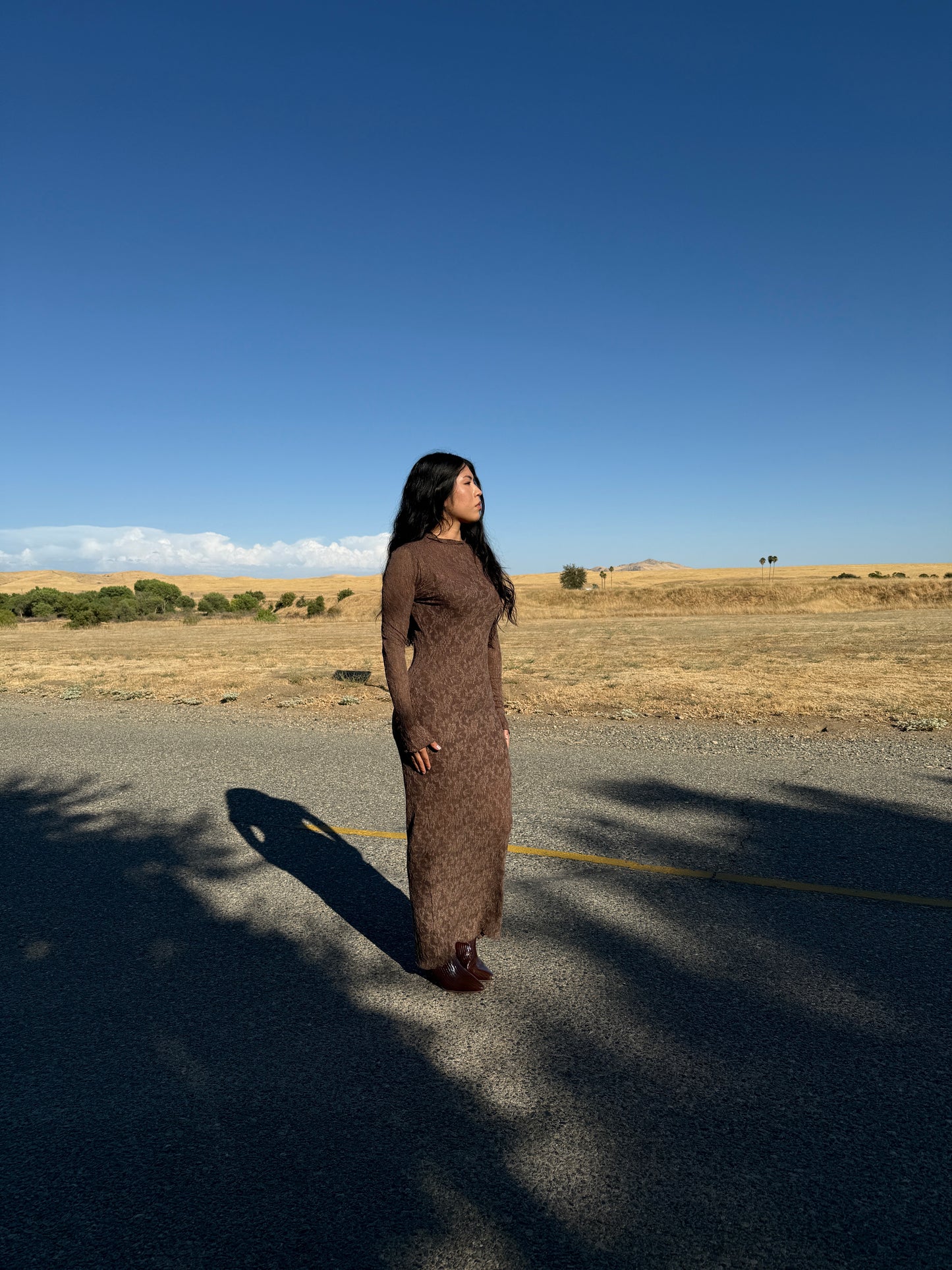Aelianna dress