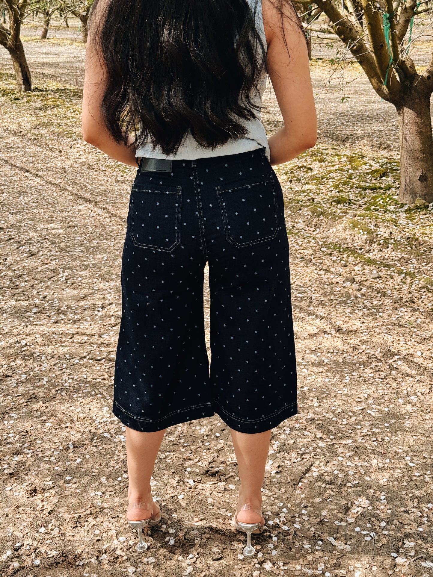 Bermuda Araceli